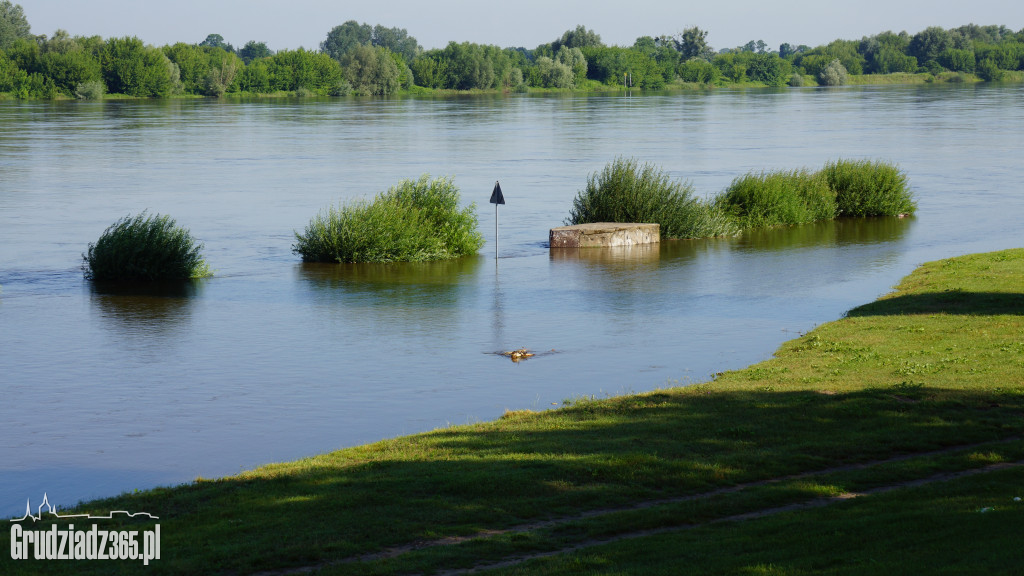 Wysoki poziom wody w Wiśle (30.06.2020r. godz. 8.00)