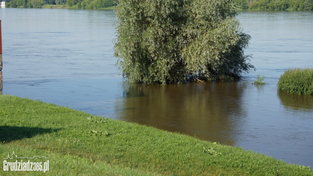 Wysoki poziom wody w Wiśle (30.06.2020r. godz. 8.00)