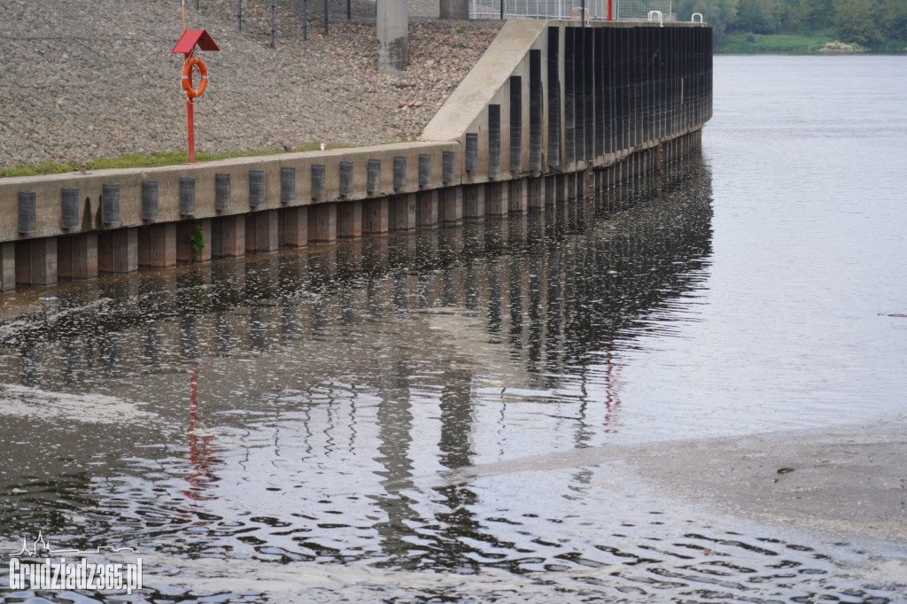 Zanieczyszczenie Wisły przy Marinie w Grudziądzu