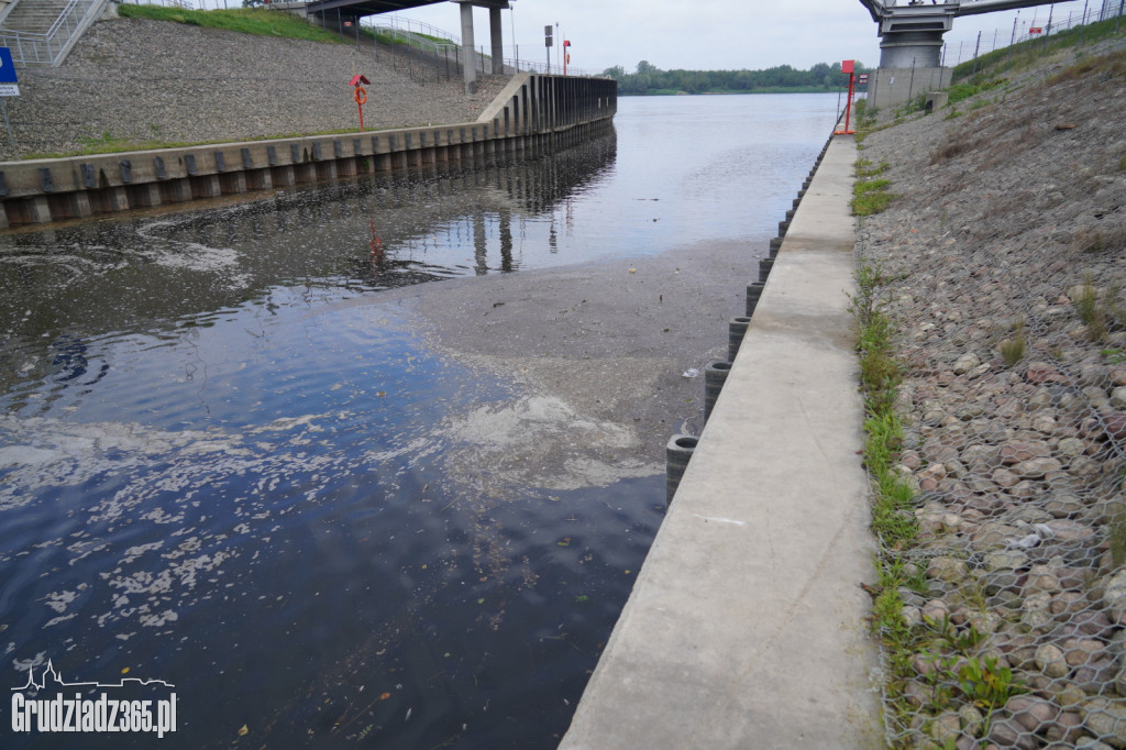 Zanieczyszczenie Wisły przy Marinie w Grudziądzu