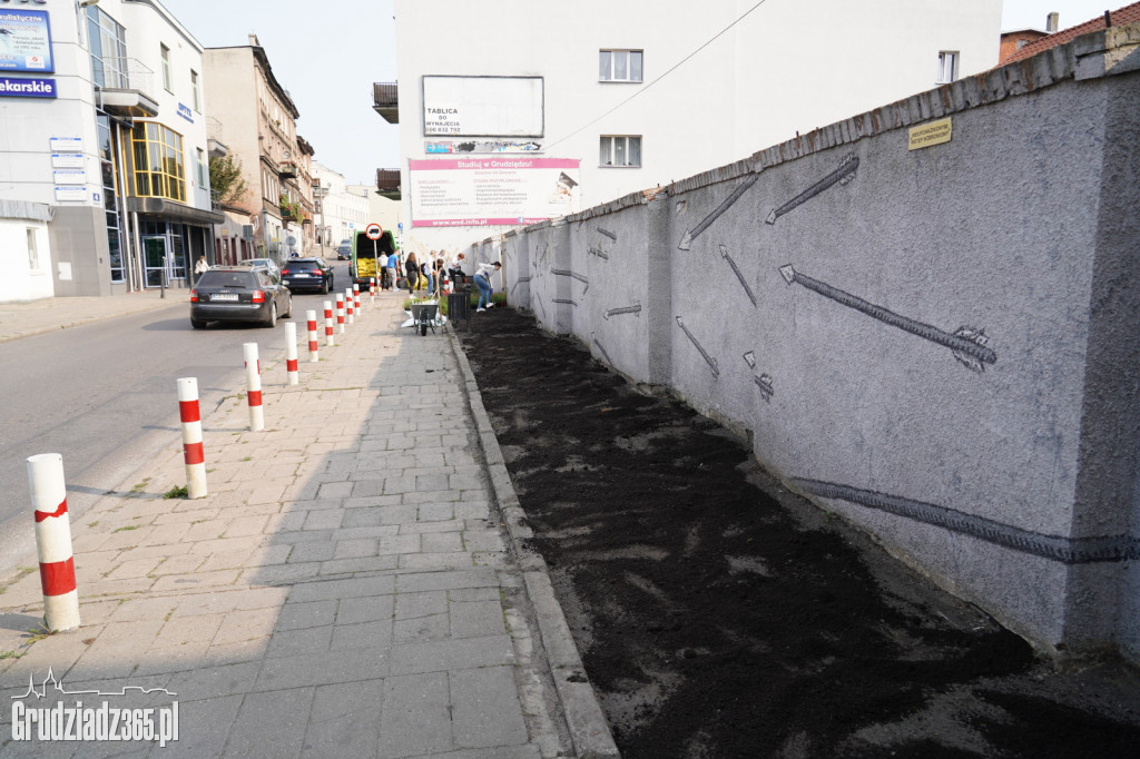 Nasadzenia bylin i kwiatów w ramach projektu Inicjatywy Lokalnej Grudziądz