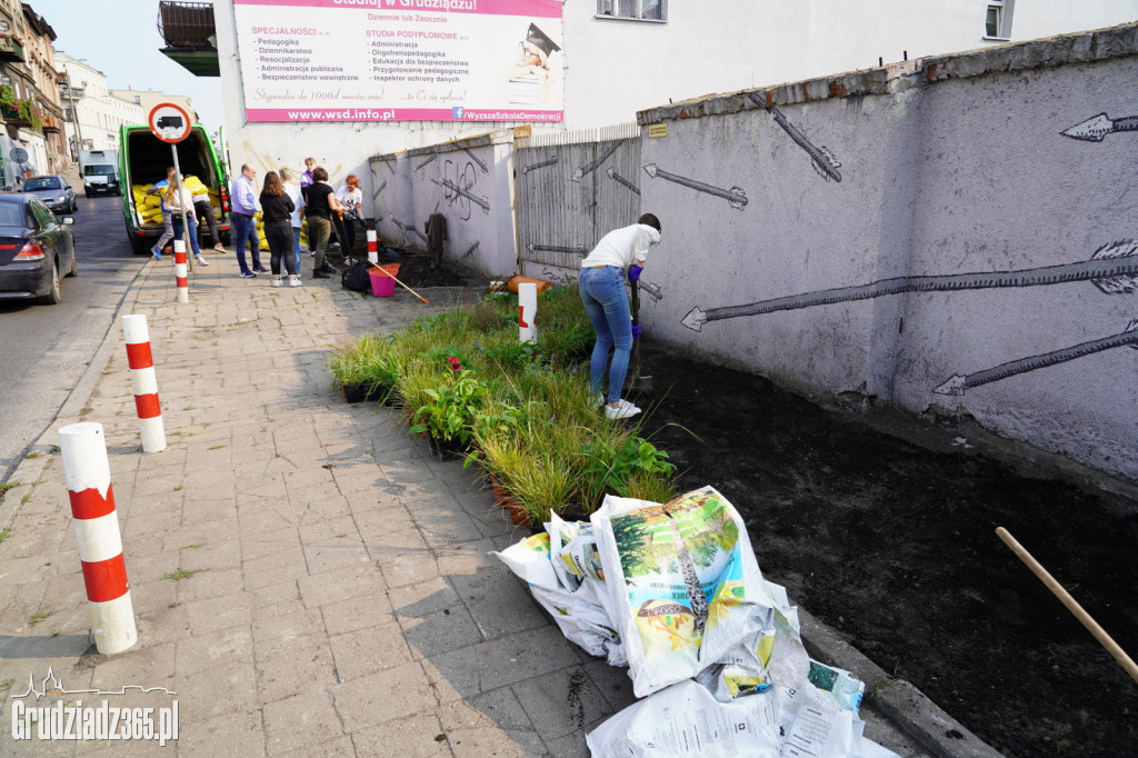 Nasadzenia bylin i kwiatów w ramach projektu Inicjatywy Lokalnej Grudziądz