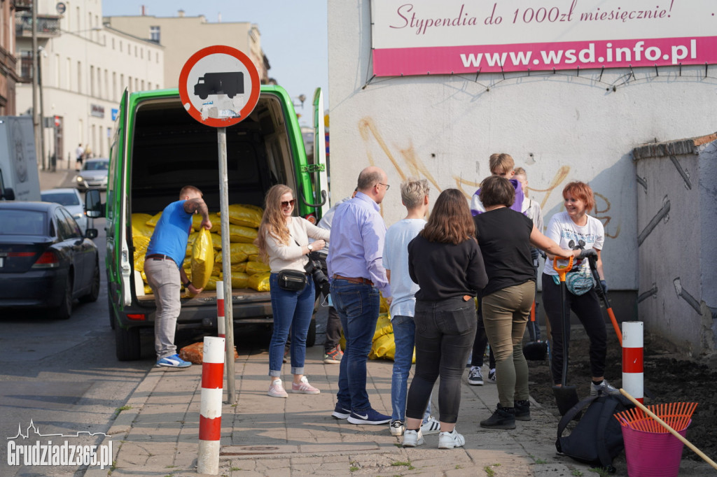 Nasadzenia bylin i kwiatów w ramach projektu Inicjatywy Lokalnej Grudziądz