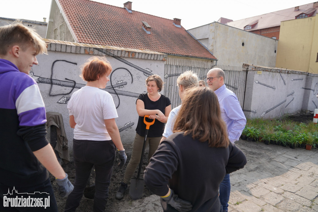 Nasadzenia bylin i kwiatów w ramach projektu Inicjatywy Lokalnej Grudziądz