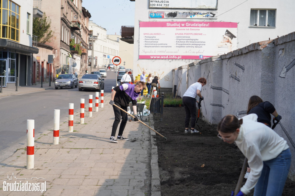 Nasadzenia bylin i kwiatów w ramach projektu Inicjatywy Lokalnej Grudziądz