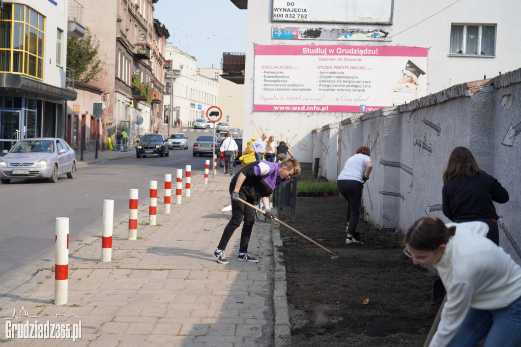 Nasadzenia bylin i kwiatów w ramach projektu Inicjatywy Lokalnej Grudziądz