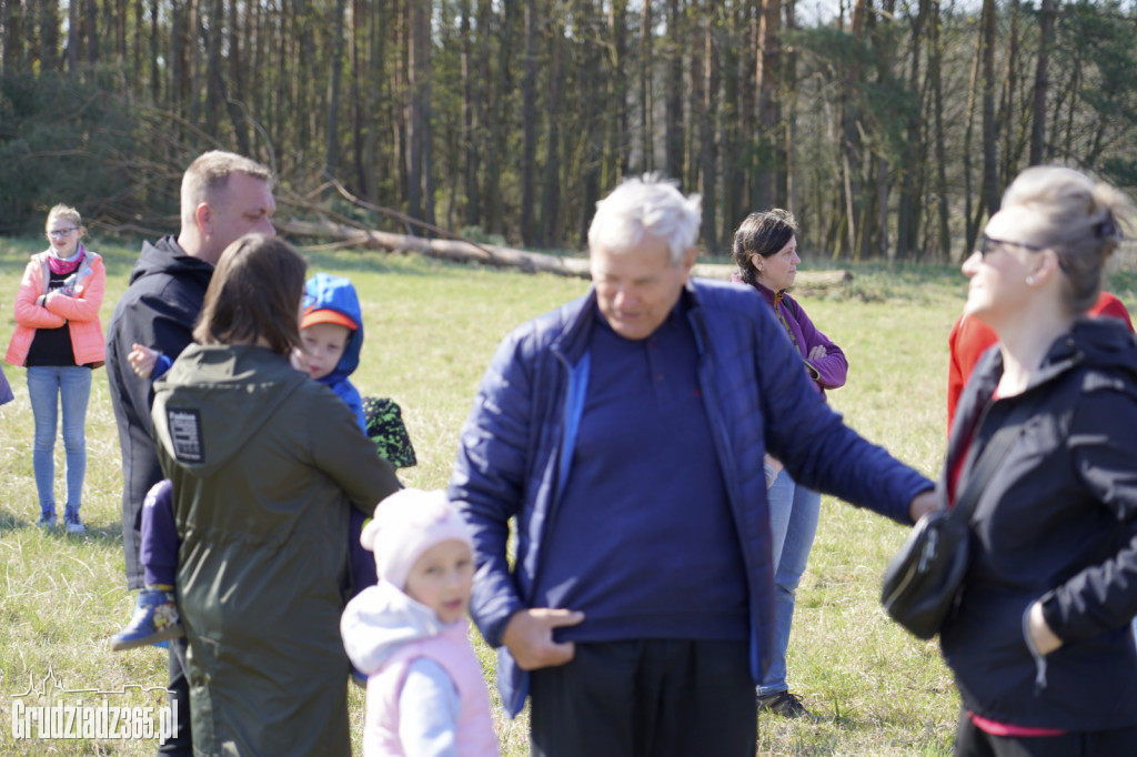 Grudziądzanie sadzili las