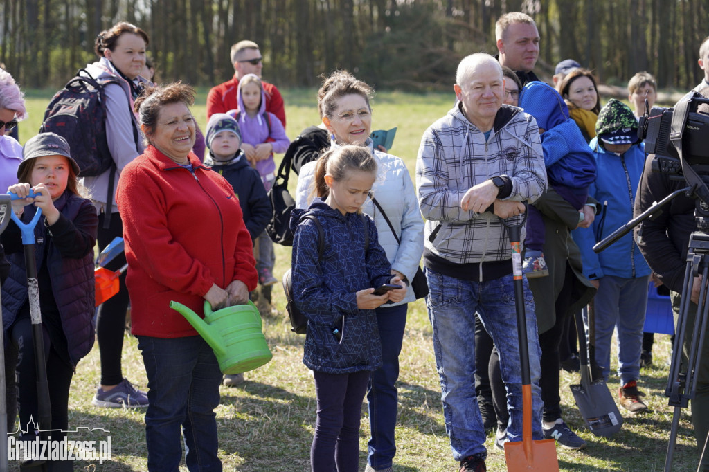 Grudziądzanie sadzili las
