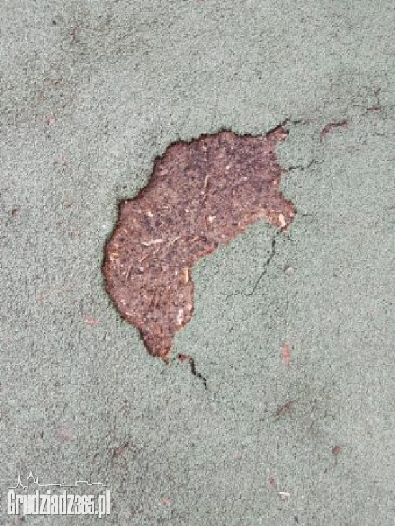 Mieszkańcy Grudziądza alarmują - fatalny stan placu zabaw w Parku Miejskim