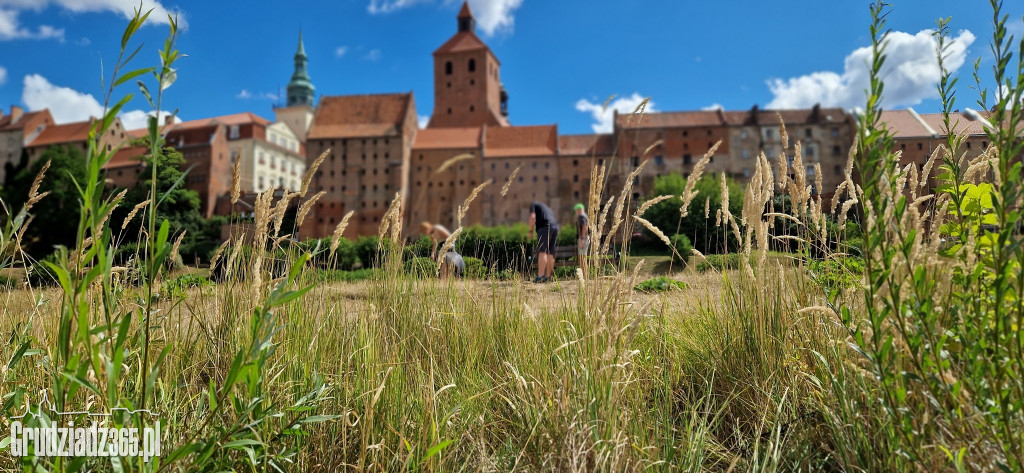 Wiślana Odyseja na błoniach w Grudziądzu