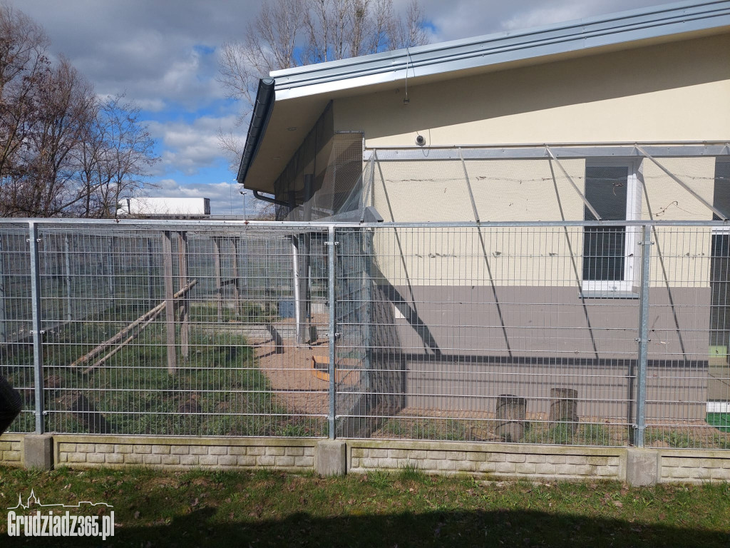 Mieszkańcy Grudziądza możecie być dumni, mówi posłanka Hanajczyk po wizycie w COnZ