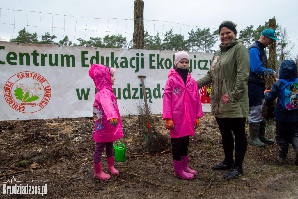 Grudziądzanie sadzili las