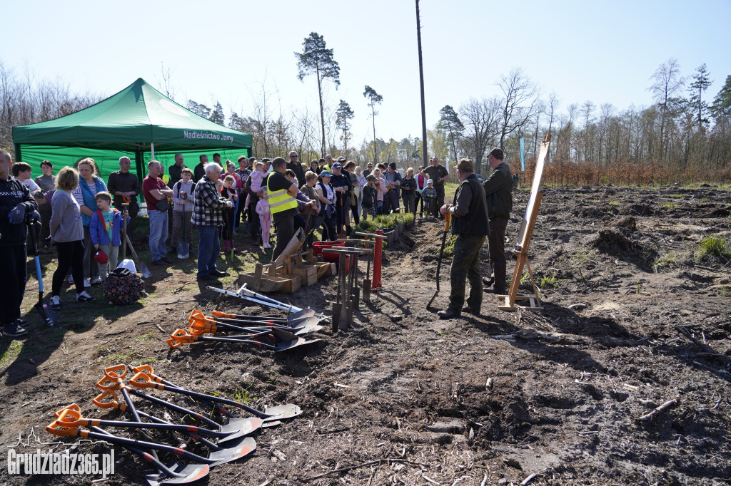 Sadzenie lasu Pamięci Jana Pawla II w Leśnictwie Biały Bór koło Grudziądza