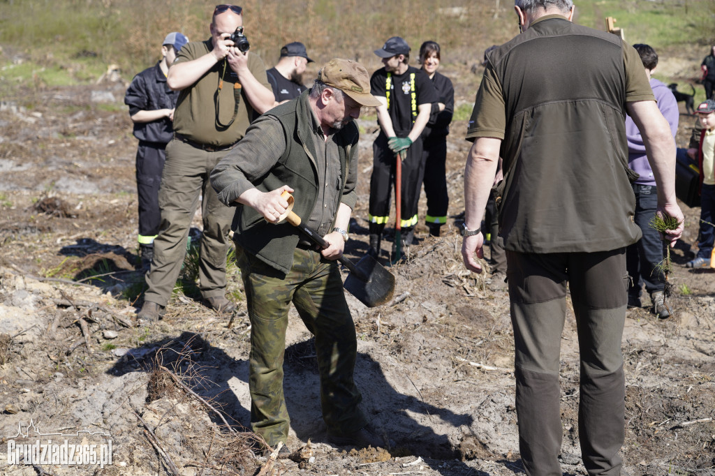 Sadzenie lasu Pamięci Jana Pawla II w Leśnictwie Biały Bór koło Grudziądza