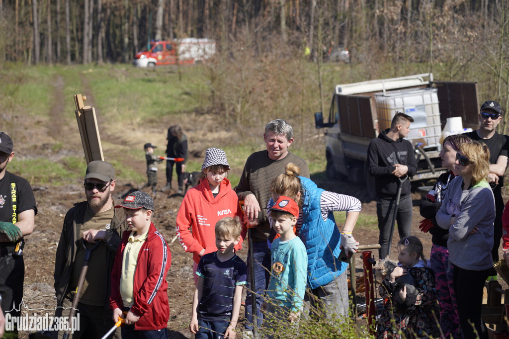 Sadzenie lasu Pamięci Jana Pawla II w Leśnictwie Biały Bór koło Grudziądza