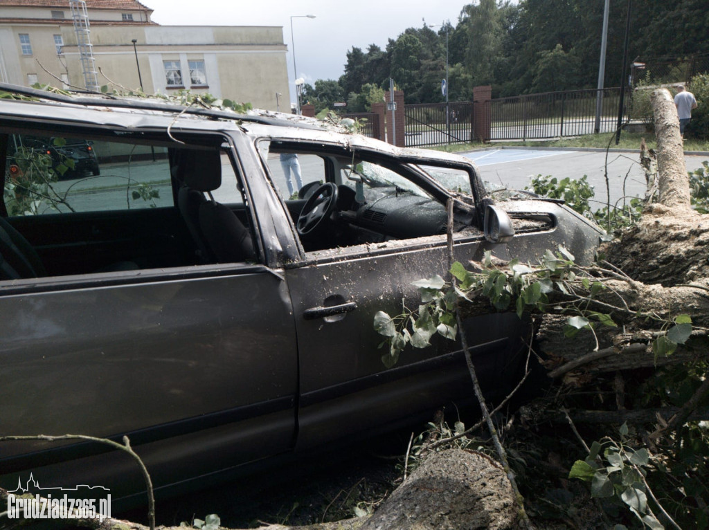 Złamane drzewo zniszczyło kilka pojazdów na parkingu w Grudziądzu