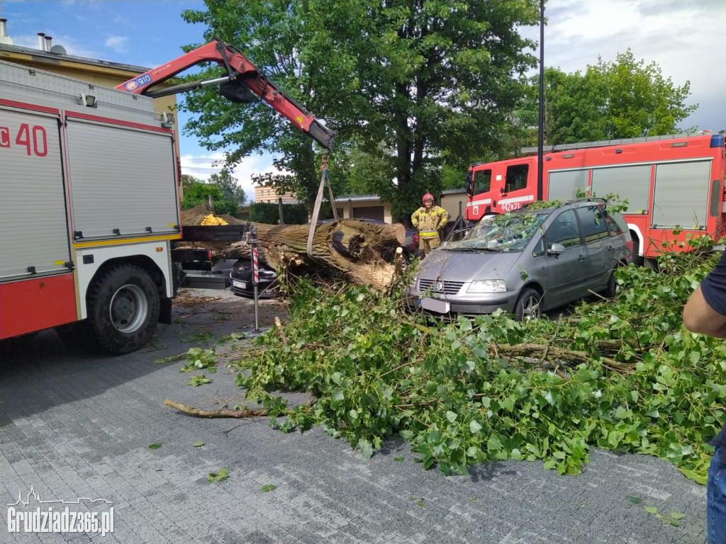 Złamane drzewo zniszczyło kilka pojazdów na parkingu w Grudziądzu