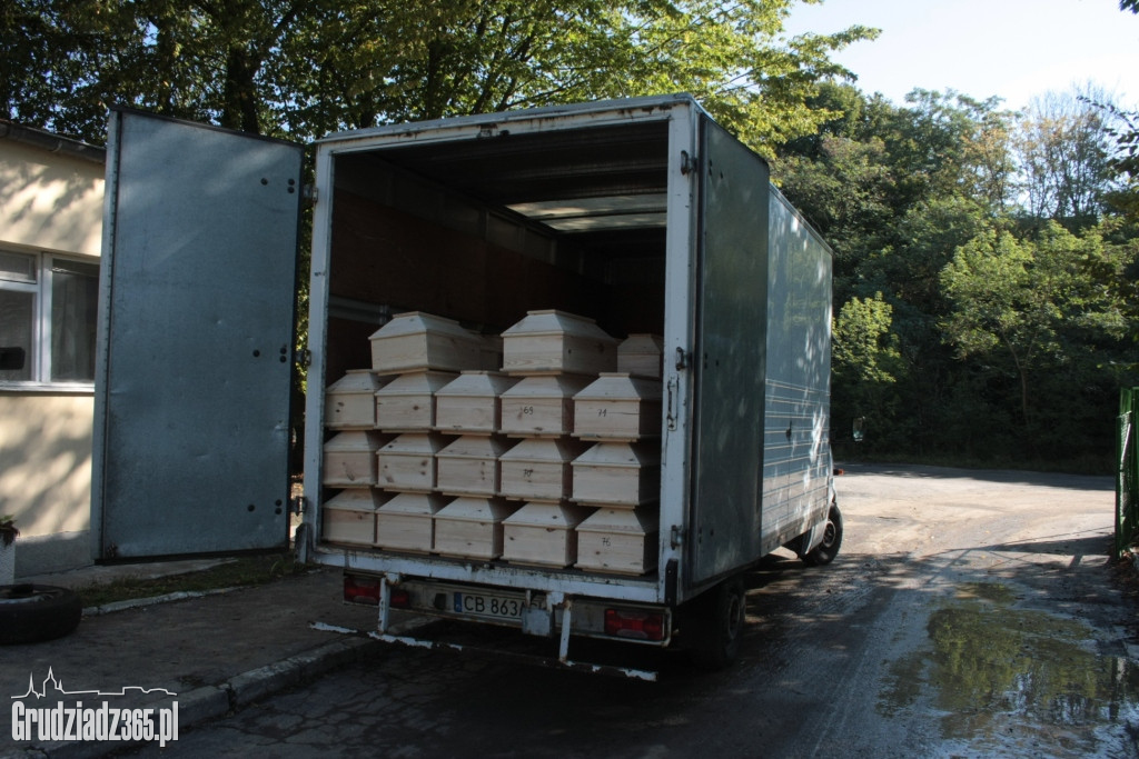 Co dalej z cmentarzem w Grudziądzu przy ul. Zawiszy Czarnego? Czy powstanie tam osiedle?