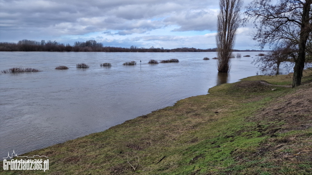 Wysoki stan Wisły w Grudziądzu. Służby monitorują sytuację