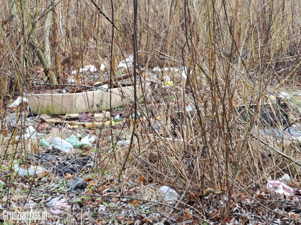 Mieszkańcy interweniują. Sterta śmieci w centrum Grudziądza