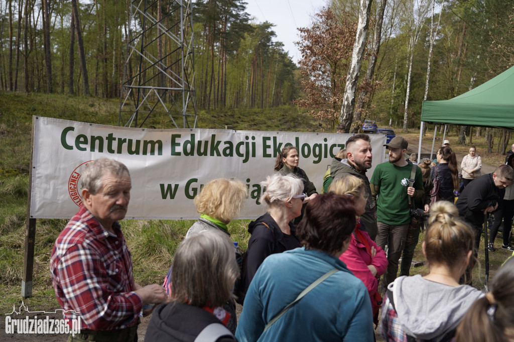 Grudziądzanie sadzą las