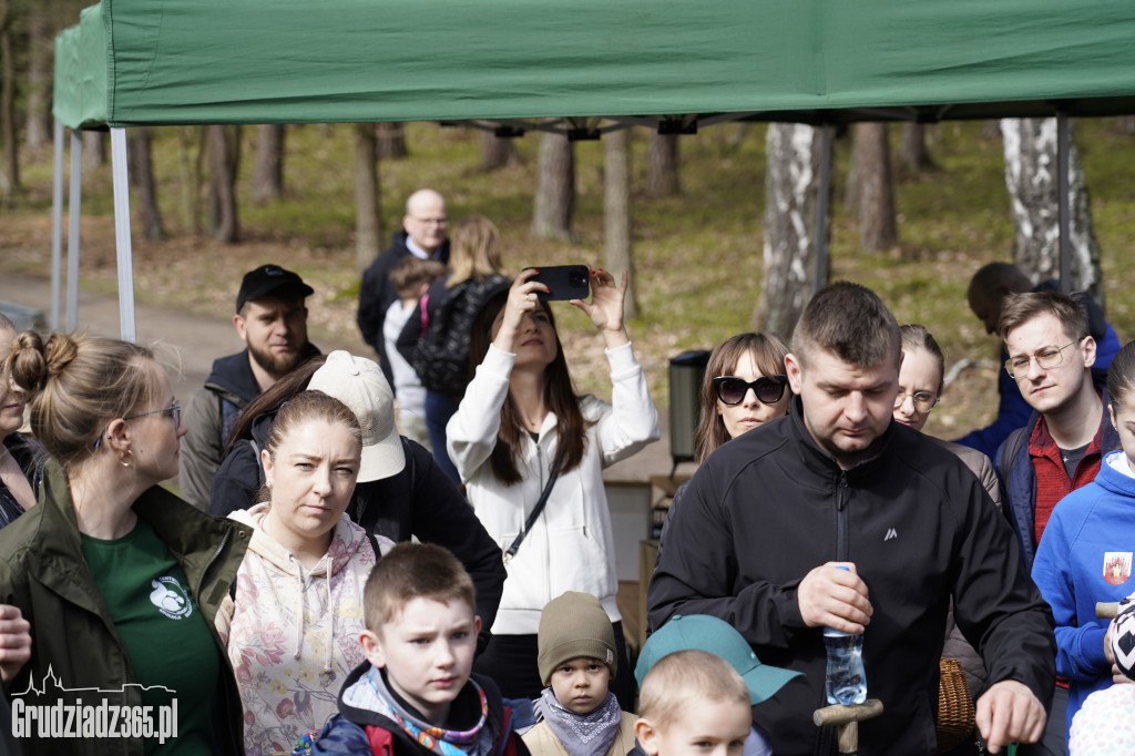 Grudziądzanie sadzą las