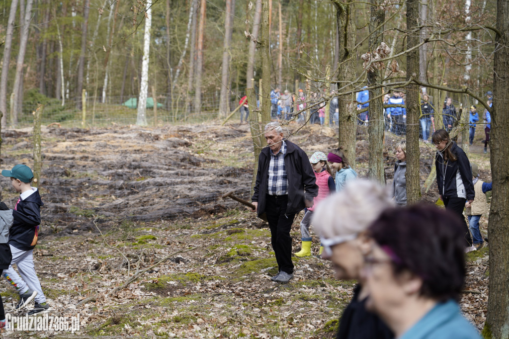 Grudziądzanie sadzą las