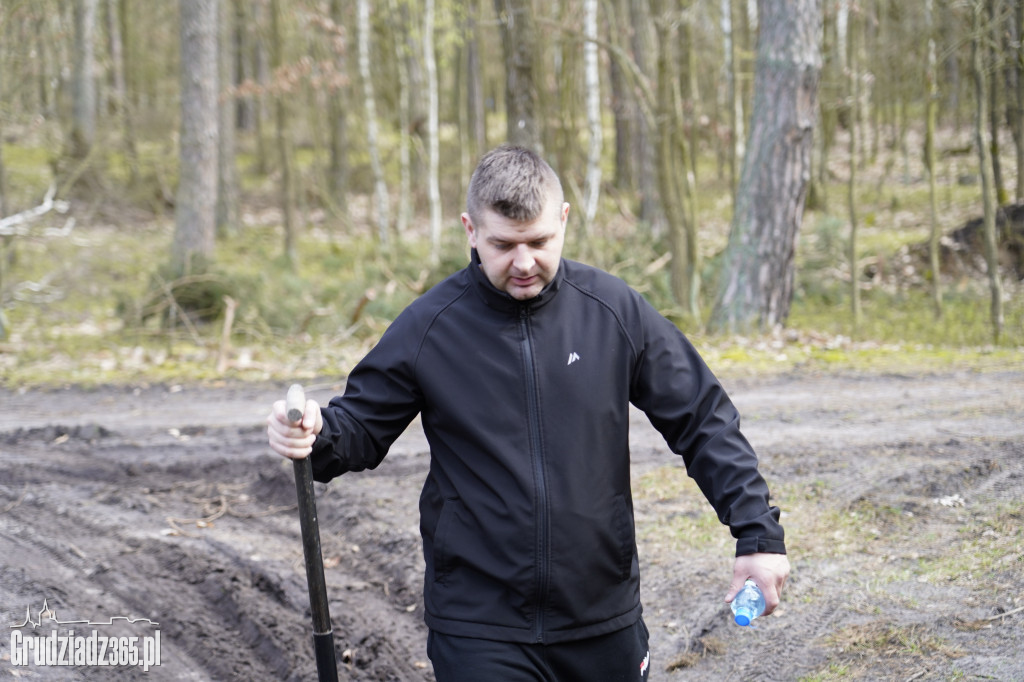 Grudziądzanie sadzą las