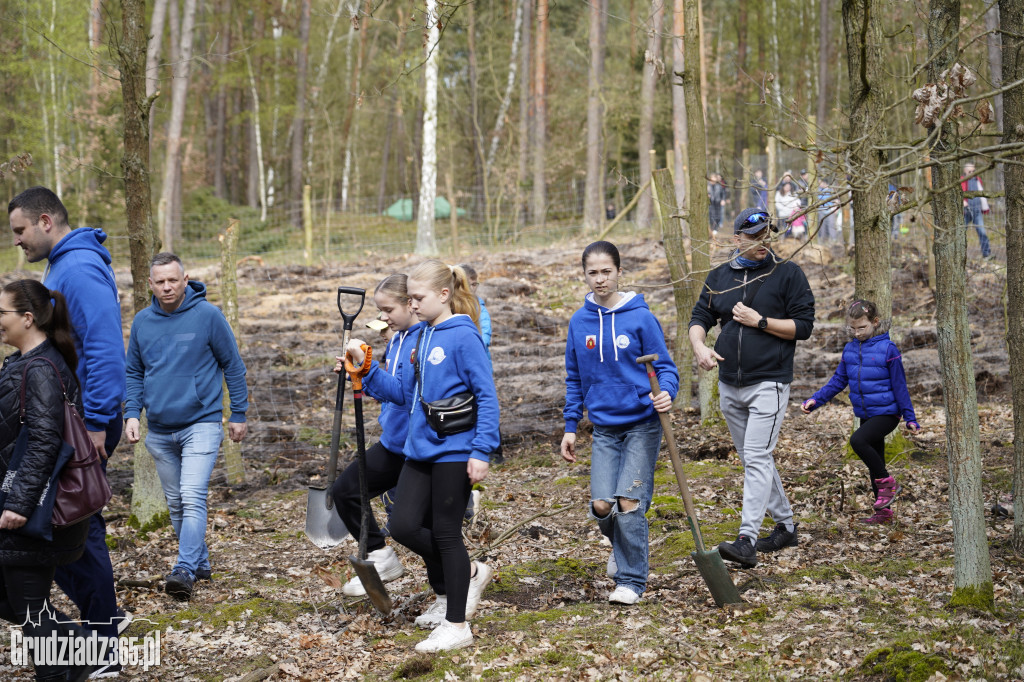 Grudziądzanie sadzą las