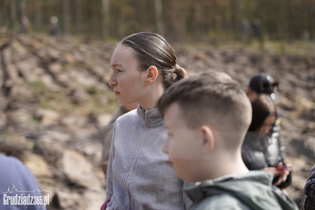 Grudziądzanie sadzą las