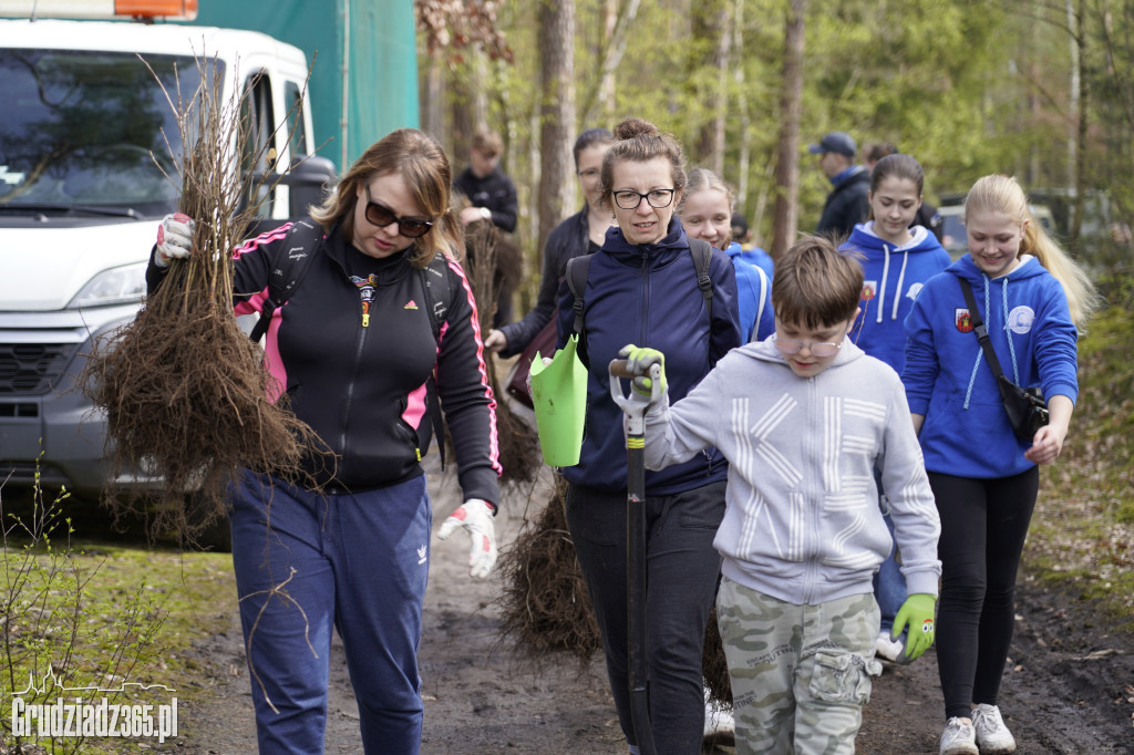 Grudziądzanie sadzą las
