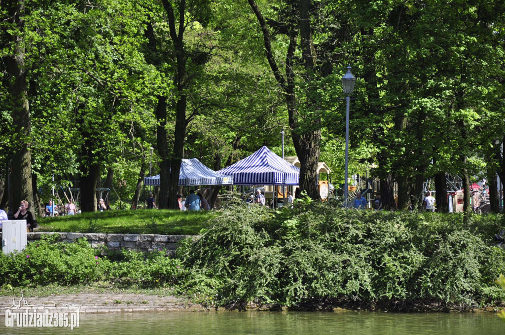 Europejski Piknik Rodzinny  w Parku Miejskim