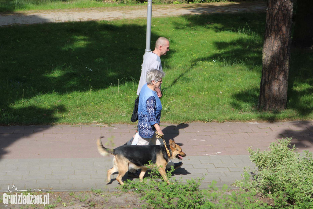Europejski Piknik Rodzinny  w Parku Miejskim