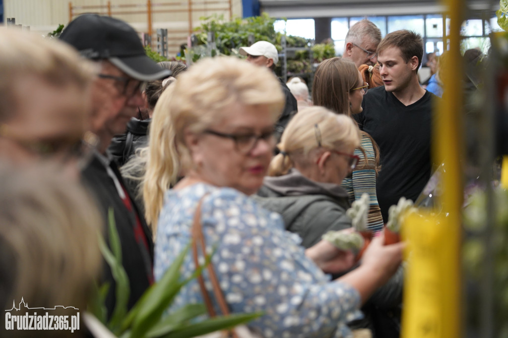 Festiwal roślin w Grudziądzu