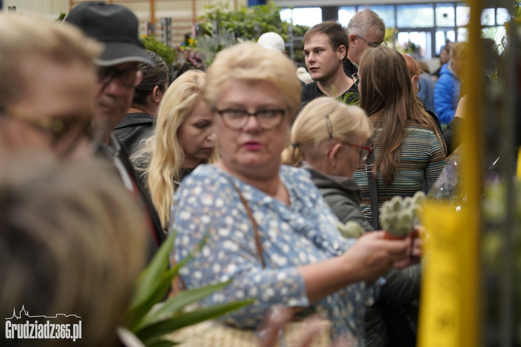 Festiwal roślin w Grudziądzu