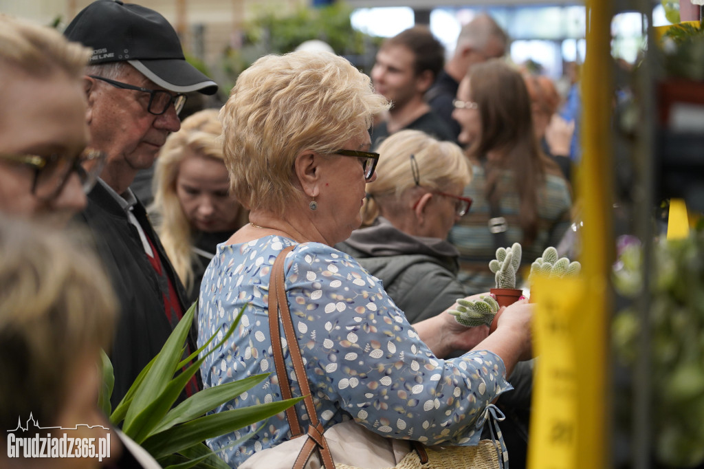 Festiwal roślin w Grudziądzu