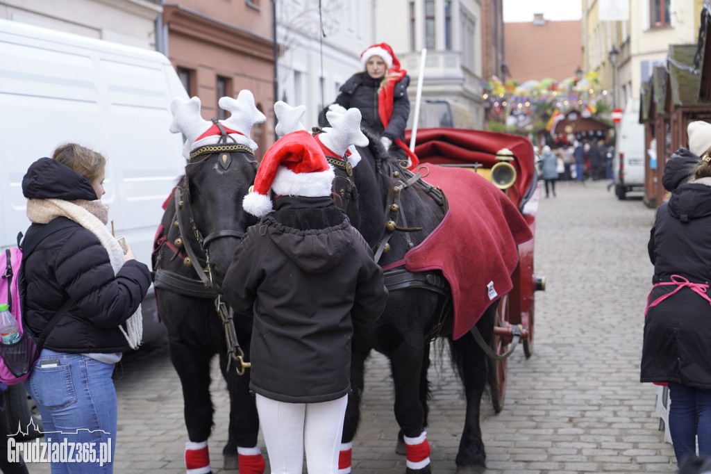Święty Mikołaj na Rynku w Grudziądzu