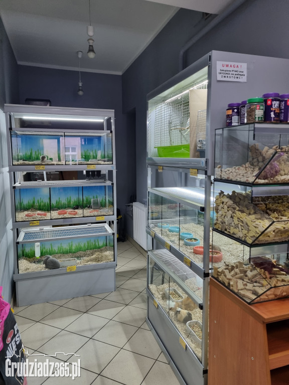 Pół wieku z miłości do zwierząt! Sklep Zoologiczny PEŁKA świętuje Złoty Jubileusz