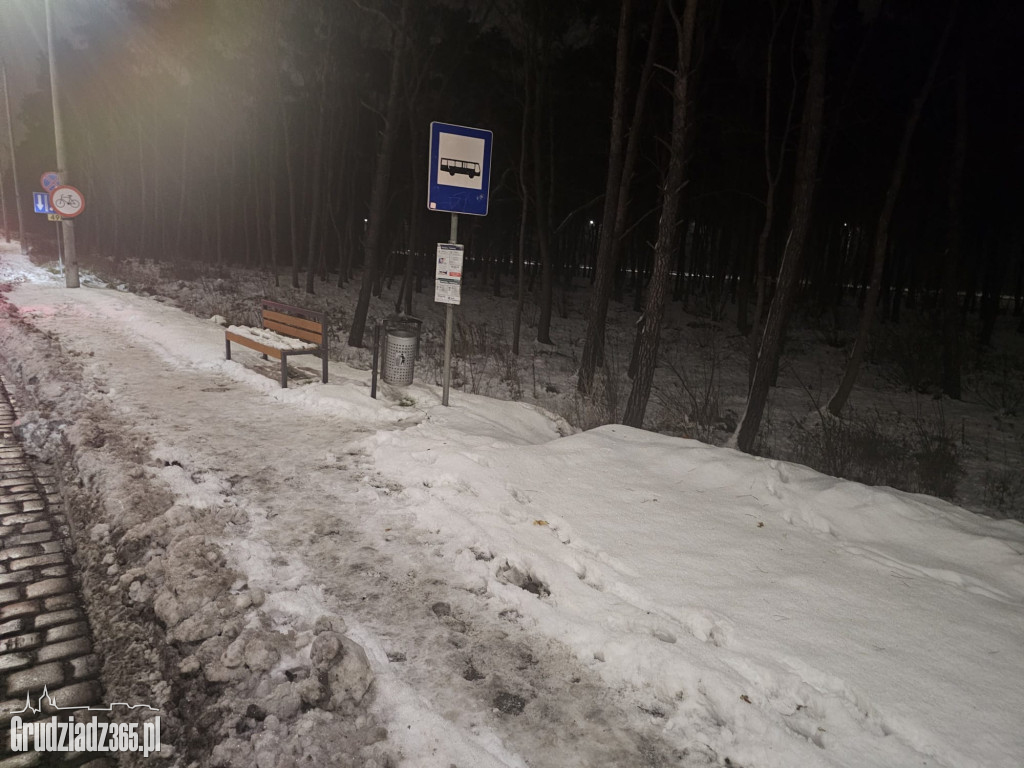 Lodowisko pod nogami grudziądzan. Przystanki i miejskie chodniki to tor przeszkód