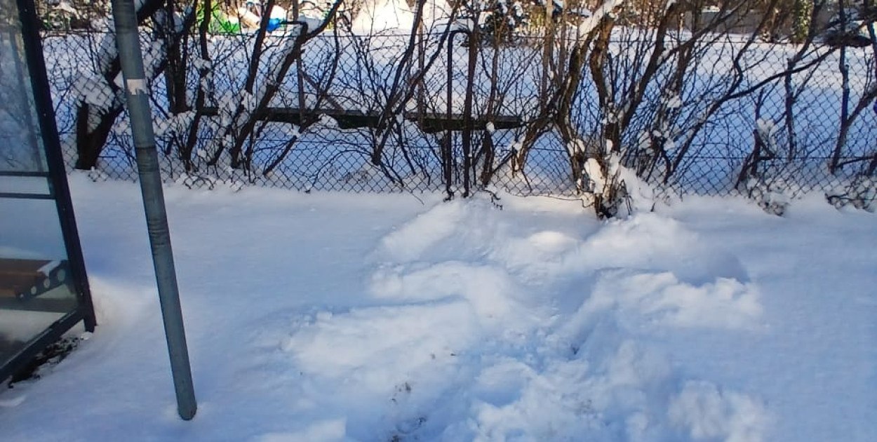 Grudziądz: Prezydent robi „orzełki”, a miasto tonie w zaspach. Radny Sarnowski odpowiada w nietypowy sposób