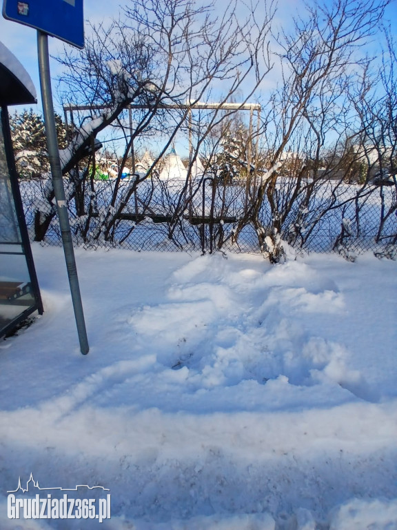Grudziądz: Prezydent robi „orzełki”, a miasto tonie w zaspach. Radny Sarnowski odpowiada w nietypowy sposób