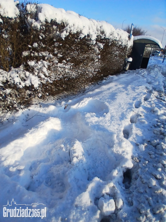 Grudziądz: Prezydent robi „orzełki”, a miasto tonie w zaspach. Radny Sarnowski odpowiada w nietypowy sposób