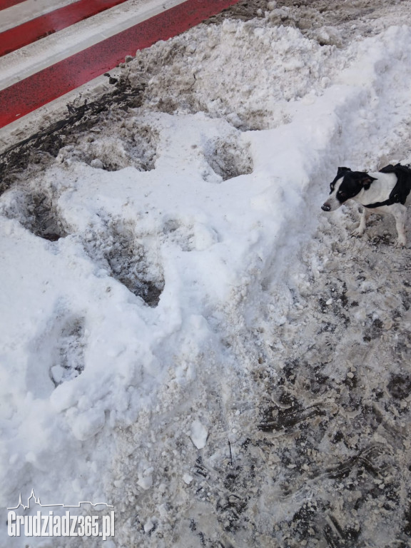 Grudziądz: Prezydent robi „orzełki”, a miasto tonie w zaspach. Radny Sarnowski odpowiada w nietypowy sposób