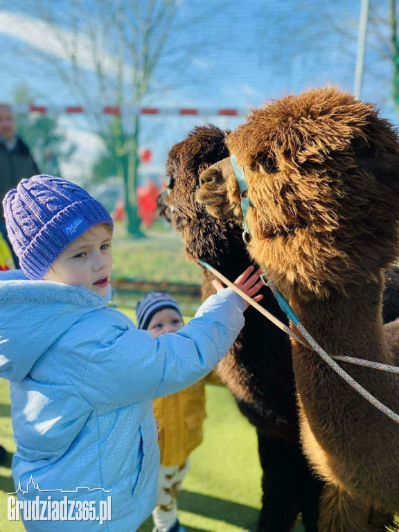 Bajkowy Zakątek w Grudziądzu: Wielka misja z Psim Patrolem już 11 kwietnia!