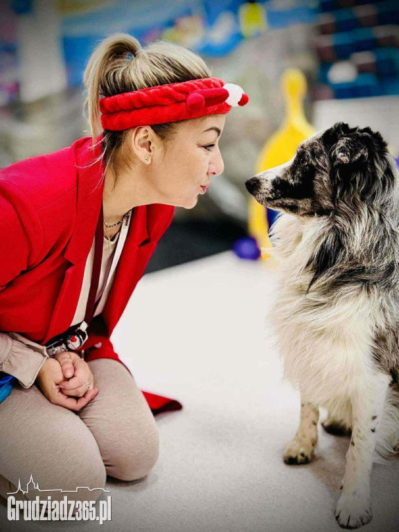 Bajkowy Zakątek w Grudziądzu: Wielka misja z Psim Patrolem już 11 kwietnia!