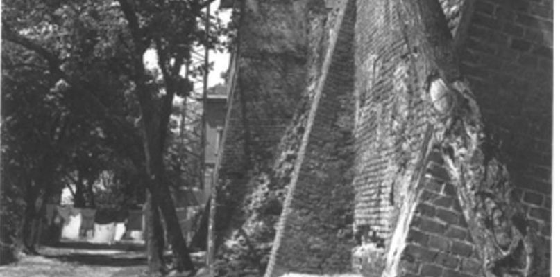 Mury miejskie Fot. H. Jacobi. Stan w 1941/42