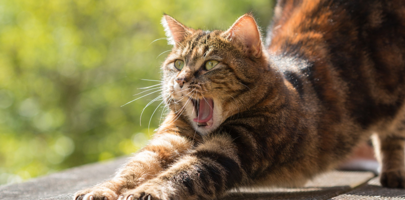 Fot. Materiał partnera