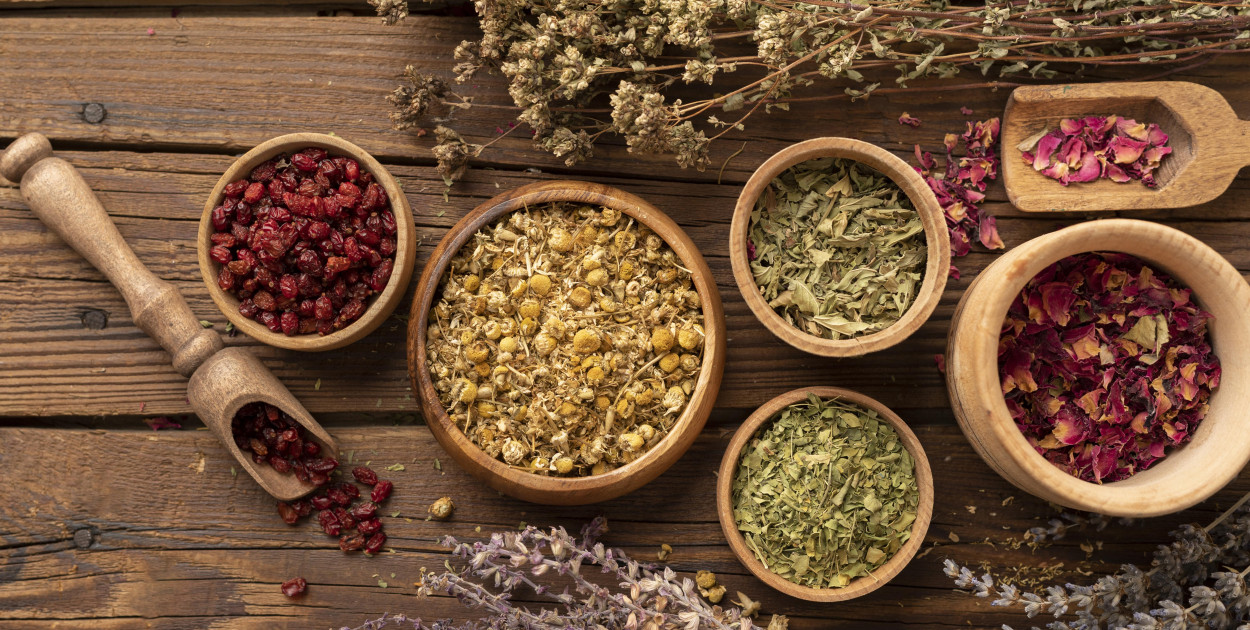 Jakie zioła mogą wspomóc leczenie boreliozy?