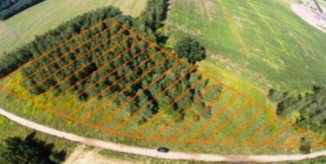 Wraca pomysł budowy w Grudziądzu cmentarza dla zwierząt. Podpisz petycję