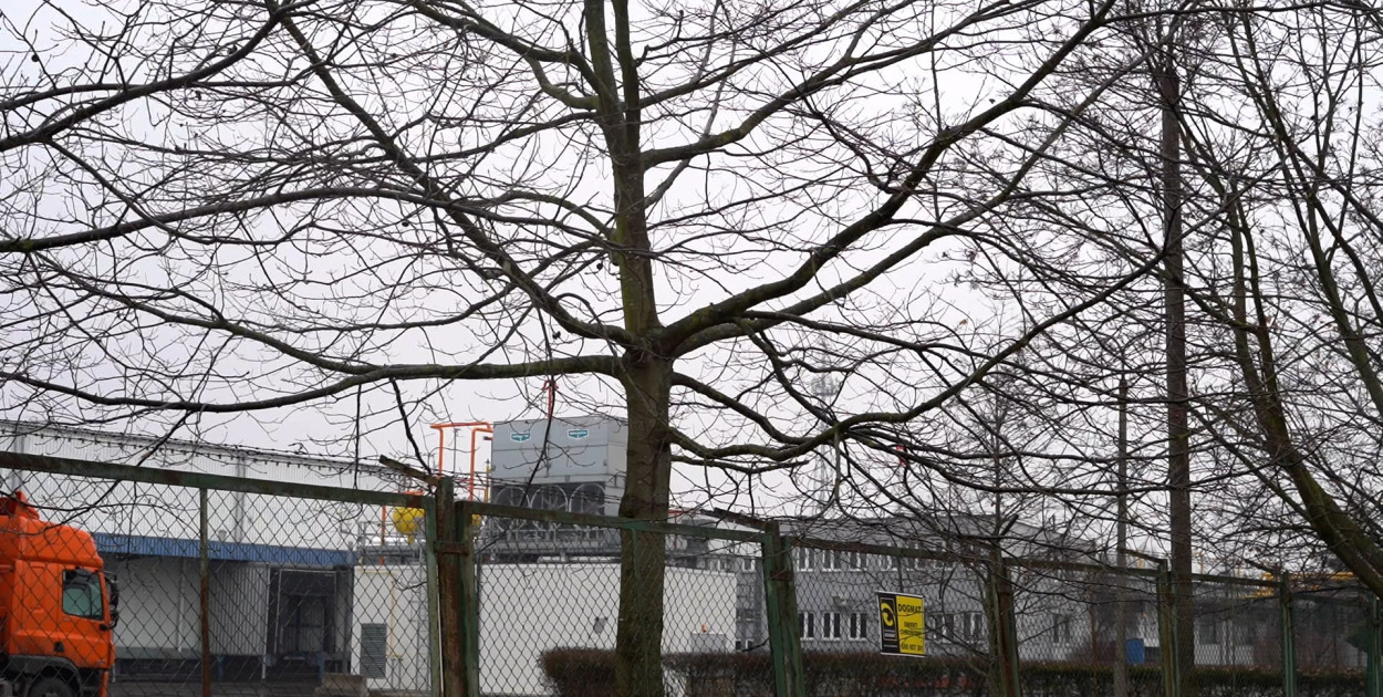 Grudziądz: Uciążliwy hałas z terenu byłej chłodni. Mieszkańcy szukają pomocy